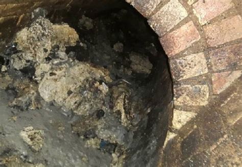 fatberg impact.